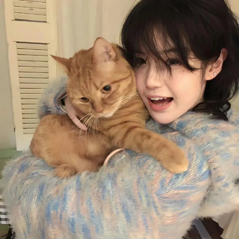 好莱坞妈妈的奥秘
