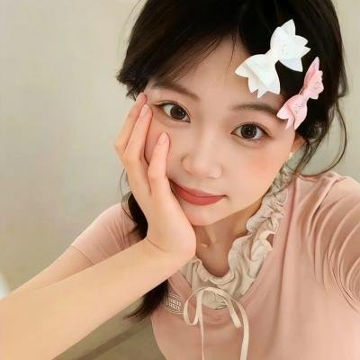 我的会长大人